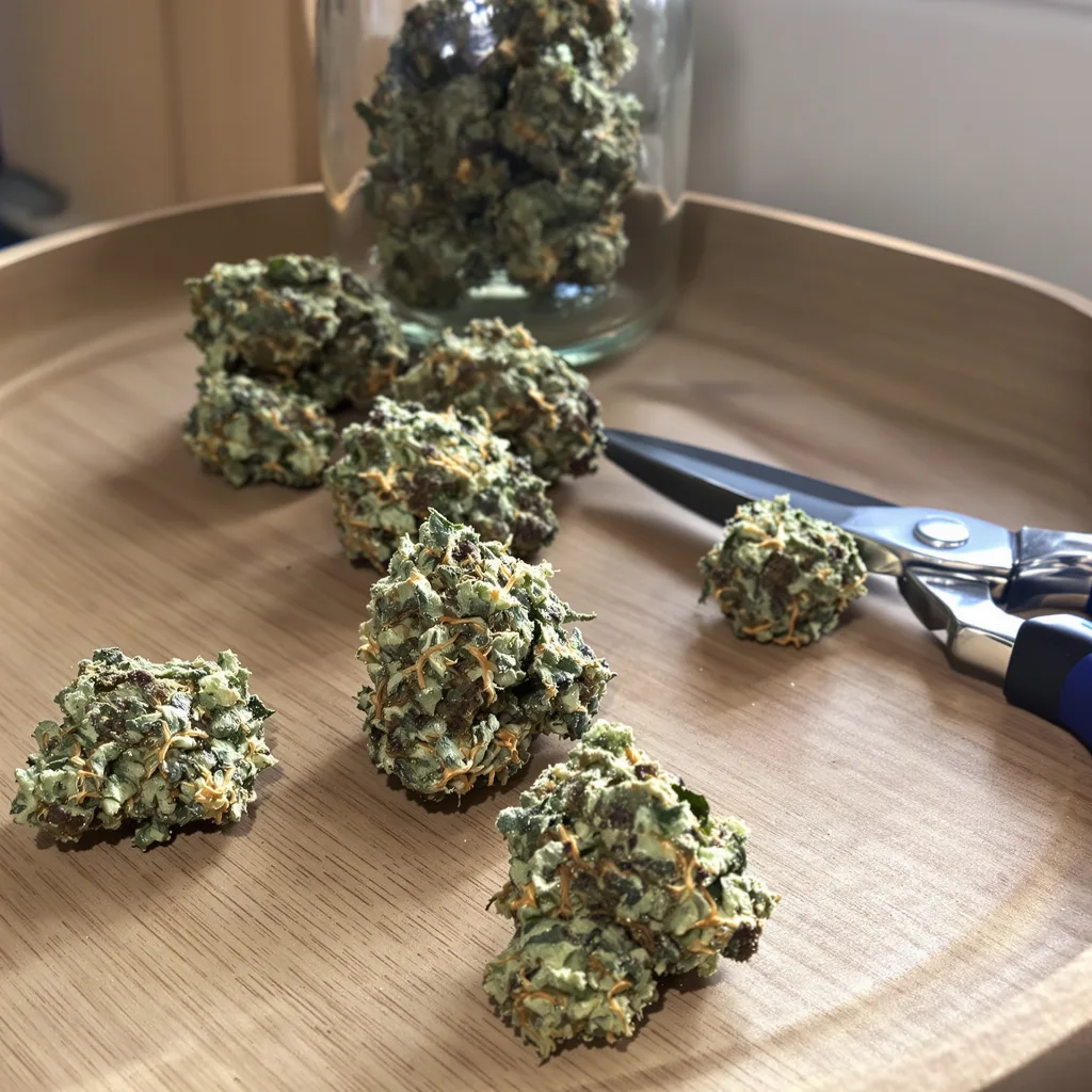 Lemon Thai 60% indica / 50% sativa flower with visible trichomes