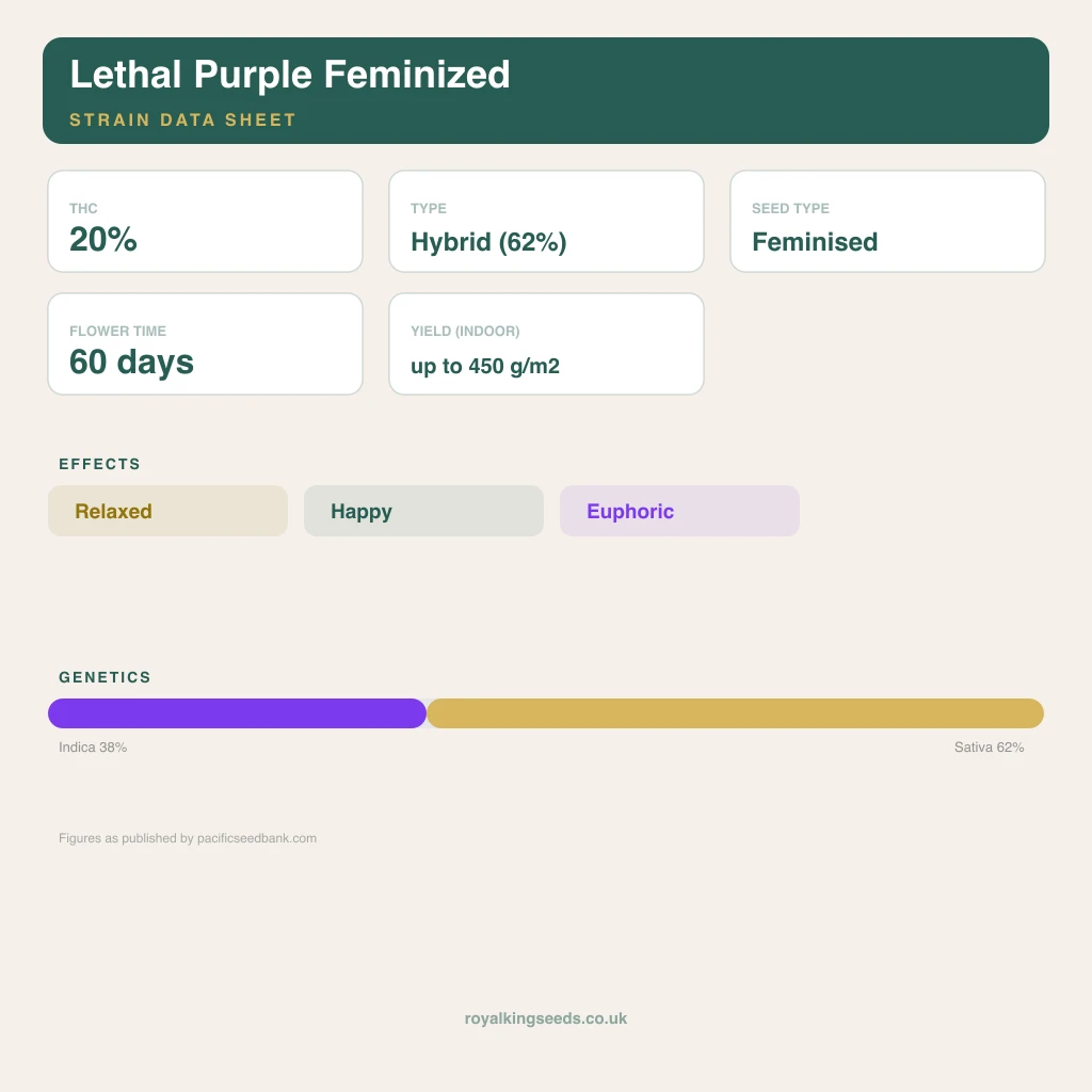 Lethal Purple 38% indica / 62% sativa flower with visible trichomes