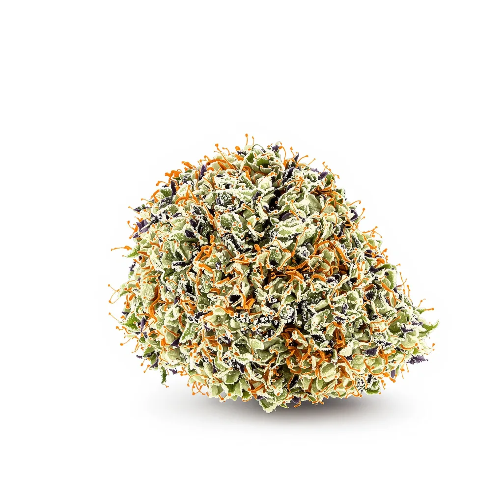 Longbottom Leaf cannabis plant in flowering stage — 120-180 cm feminised