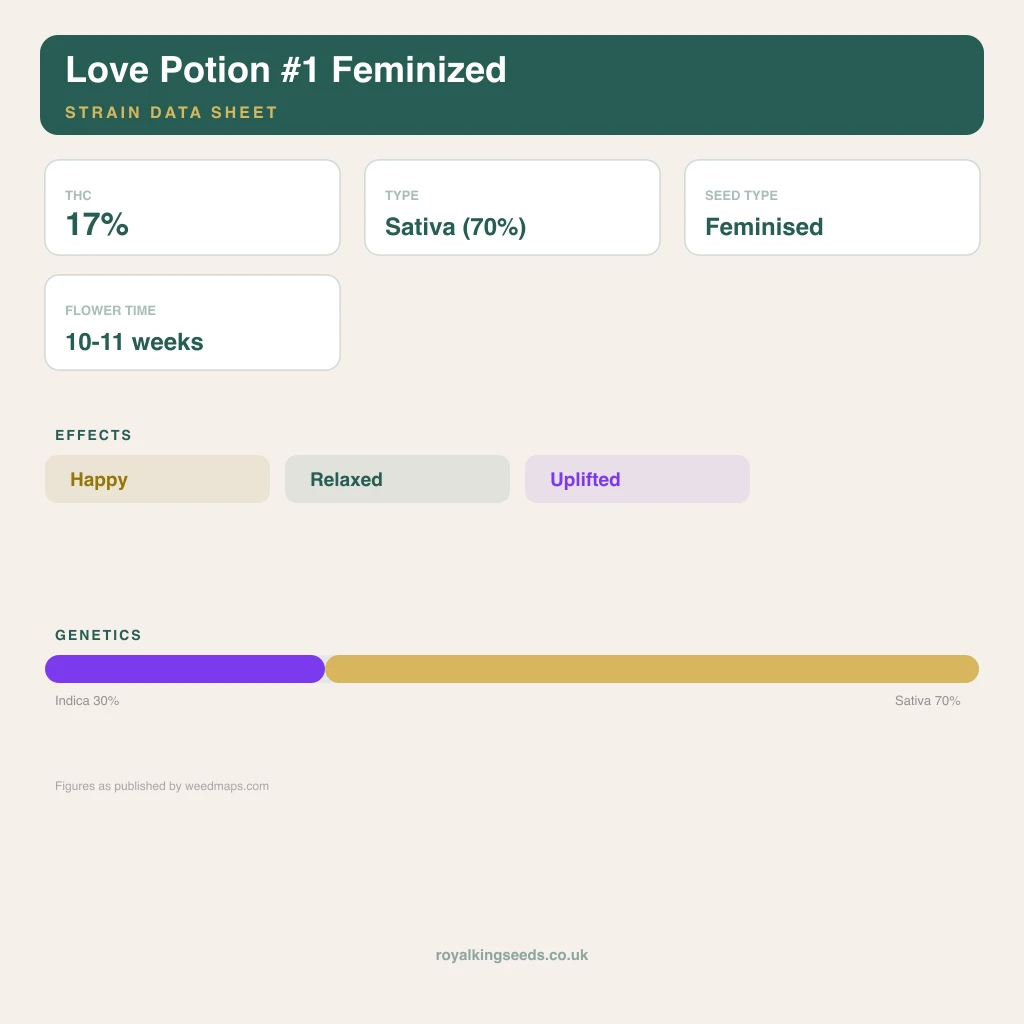 Love Potion #1 30% indica / 70% sativa flower with visible trichomes