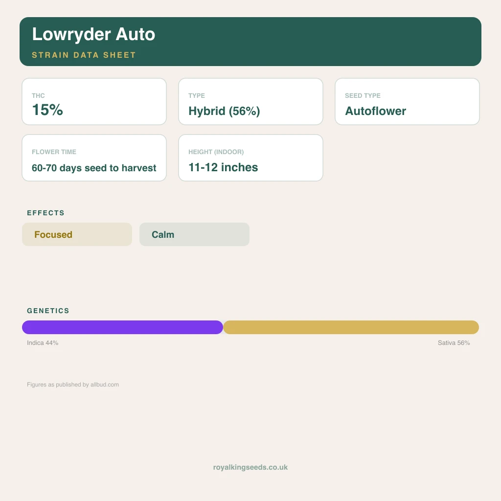Lowryder 44% indica / 56% sativa flower with visible trichomes