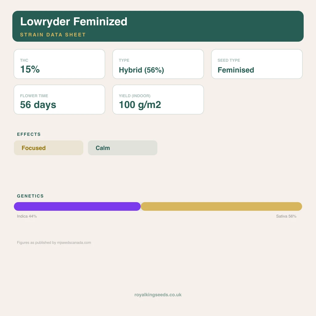 Lowryder 44% indica / 56% sativa flower with visible trichomes