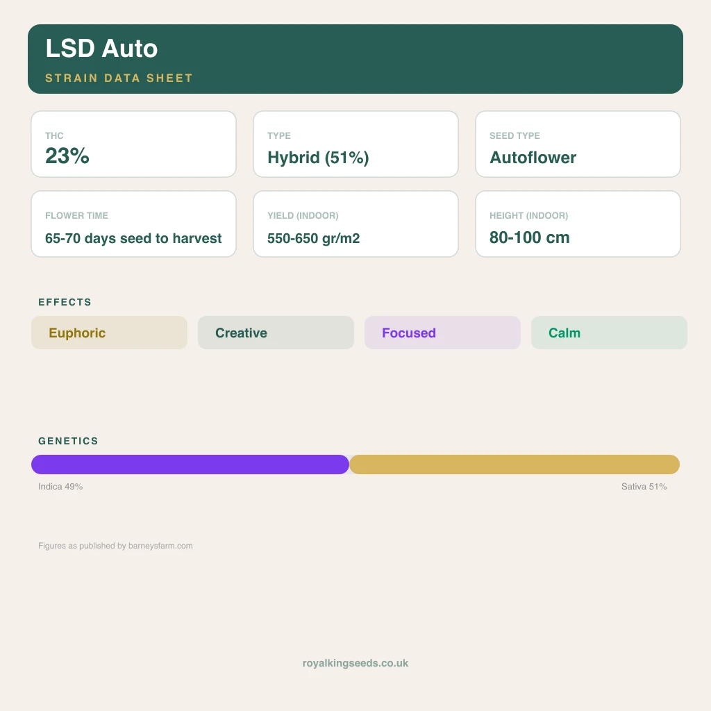 LSD 49% indica / 51% sativa flower with visible trichomes