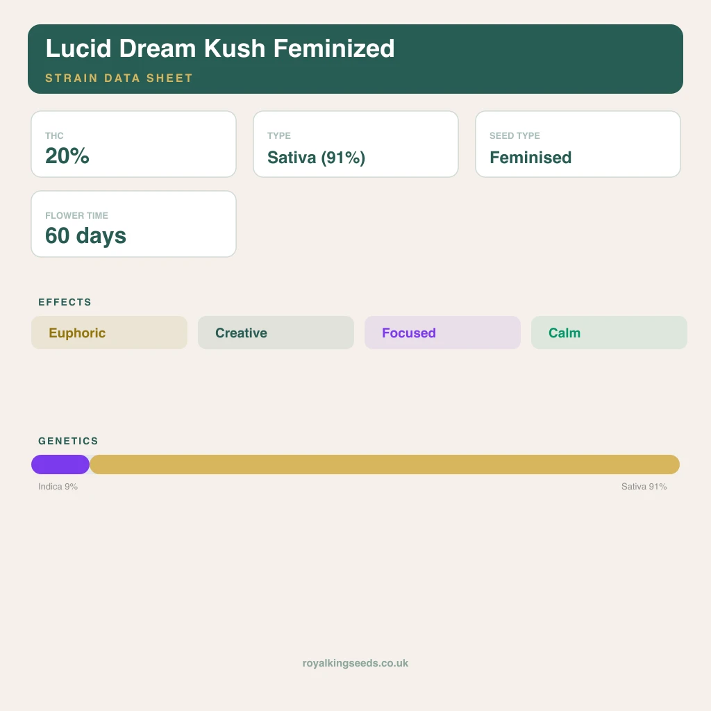 Lucid Dream Kush 9% indica / 91% sativa flower with visible trichomes