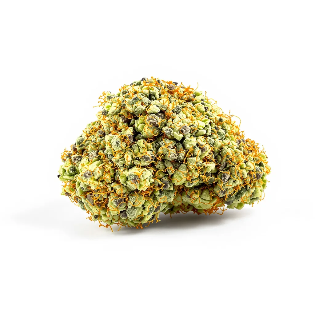 Lucid Dream Kush cannabis plant in flowering stage — 150-200 cm feminised