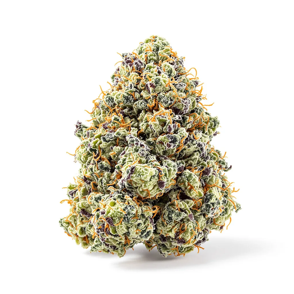 M-39 cannabis plant in flowering stage — 120-180 cm feminised