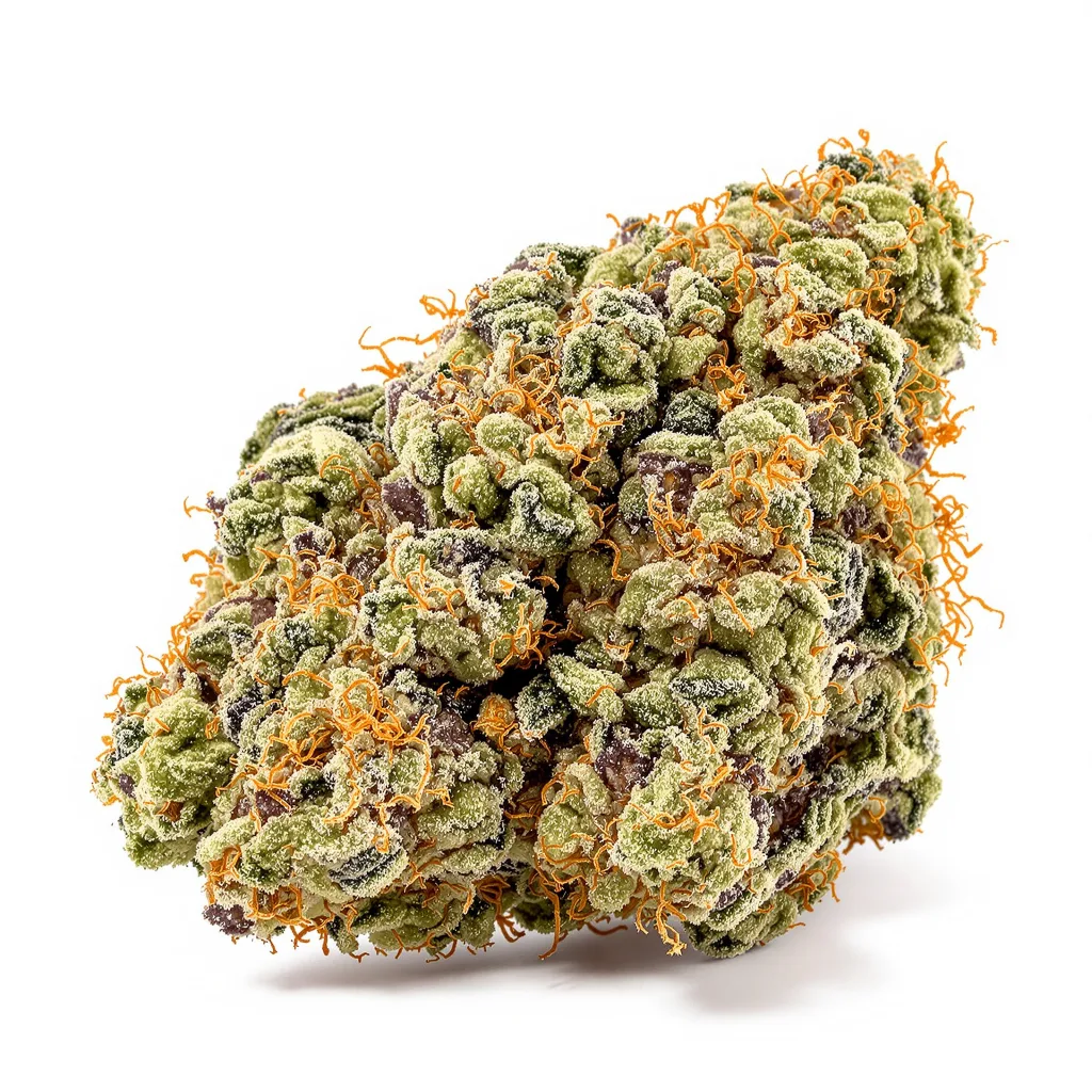 Magnum cannabis plant in flowering stage — 60-100 cm autoflower