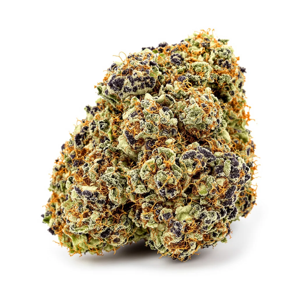 Mango Crack cannabis plant in flowering stage — 90-130 cm feminised