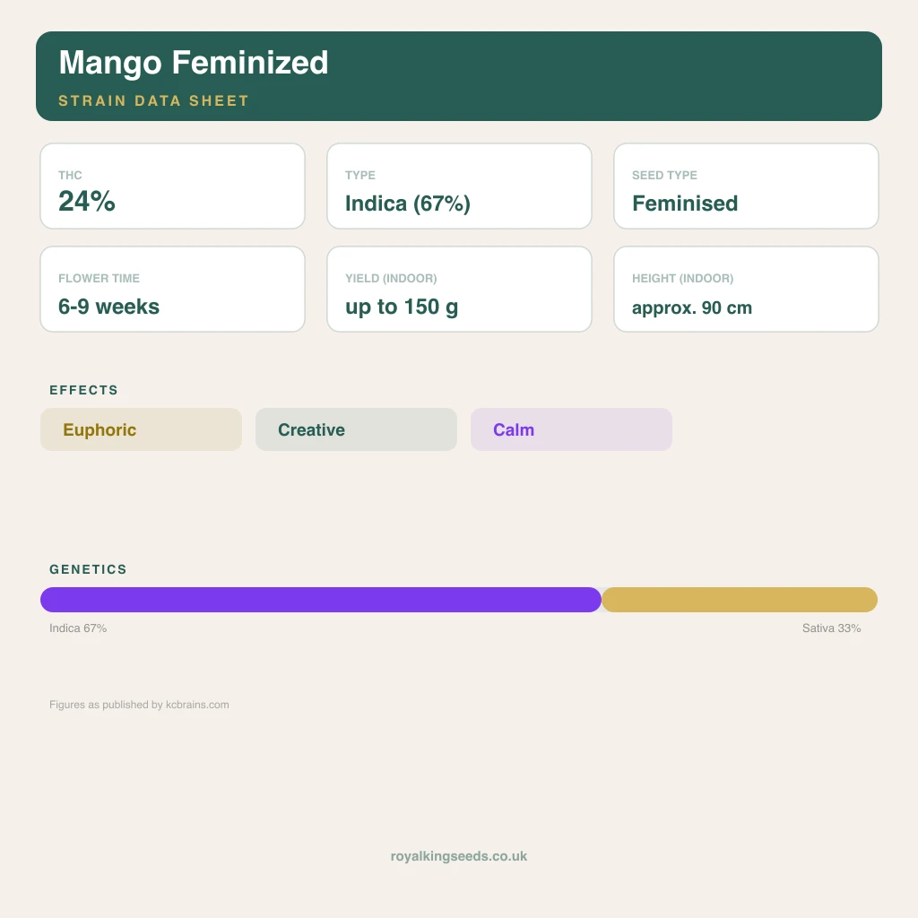 Mango 67% indica / 33% sativa flower with visible trichomes
