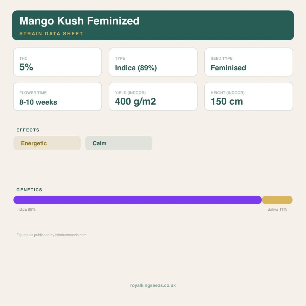 Mango Kush 89% indica / 11% sativa flower with visible trichomes