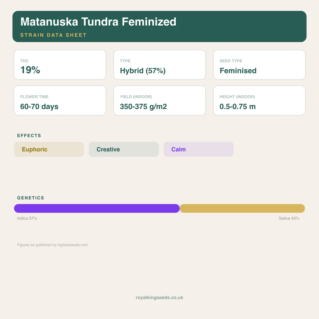 Matanuska Tundra 57% indica / 43% sativa flower with visible trichomes