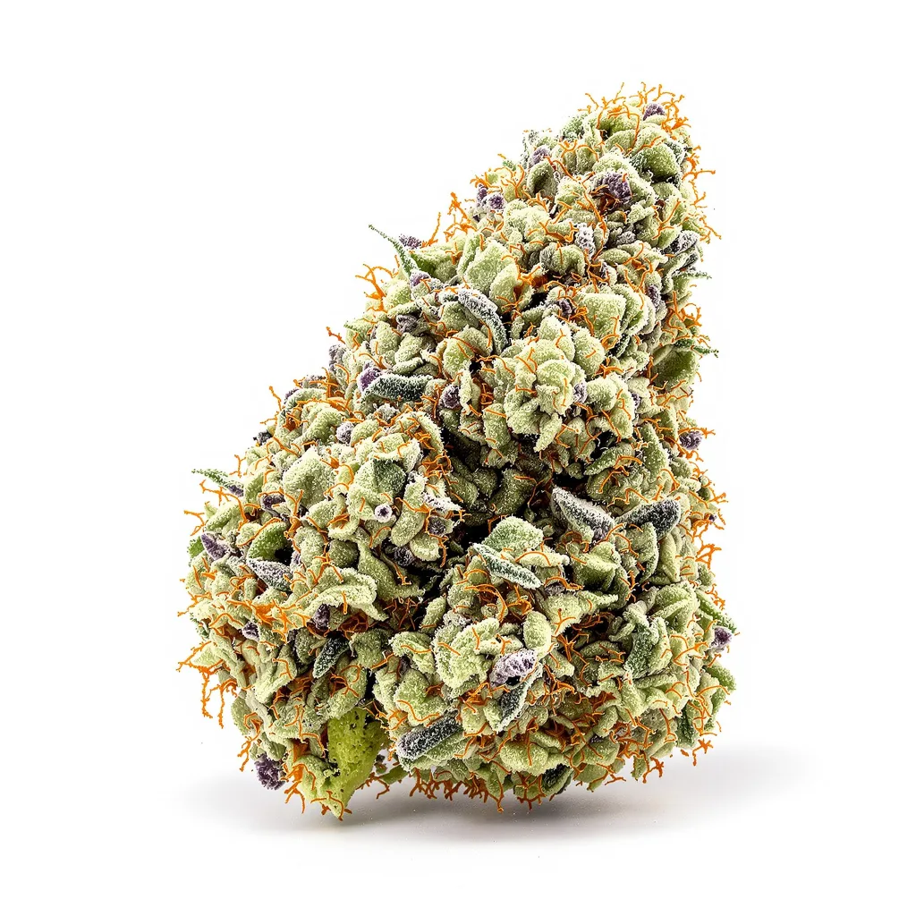 Maui Haole cannabis plant in flowering stage — 60-100 cm autoflower