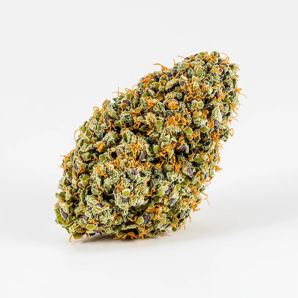 Maui Pineapple Chunk cannabis plant in flowering stage — 60-100 cm autoflower