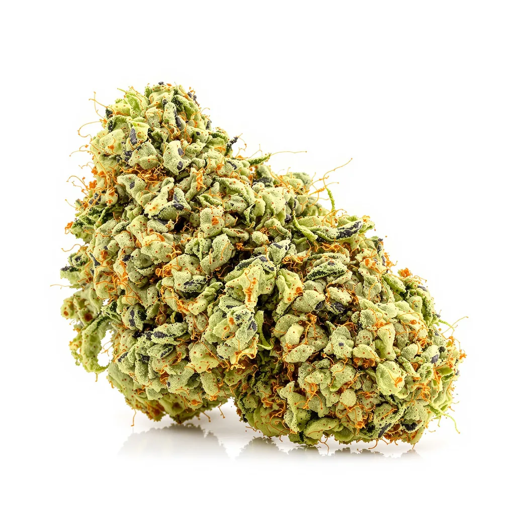 Maui Wowie cannabis plant in flowering stage — 70-120 cm autoflower