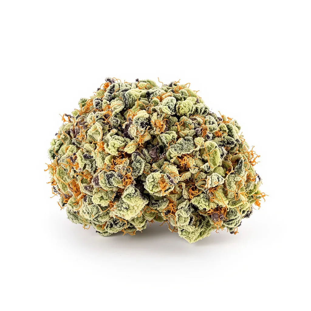 Maxi Gom cannabis plant in flowering stage — 120-180 cm feminised
