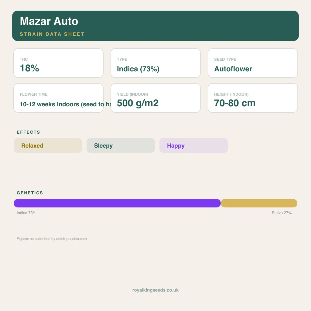 Mazar 73% indica / 27% sativa flower with visible trichomes