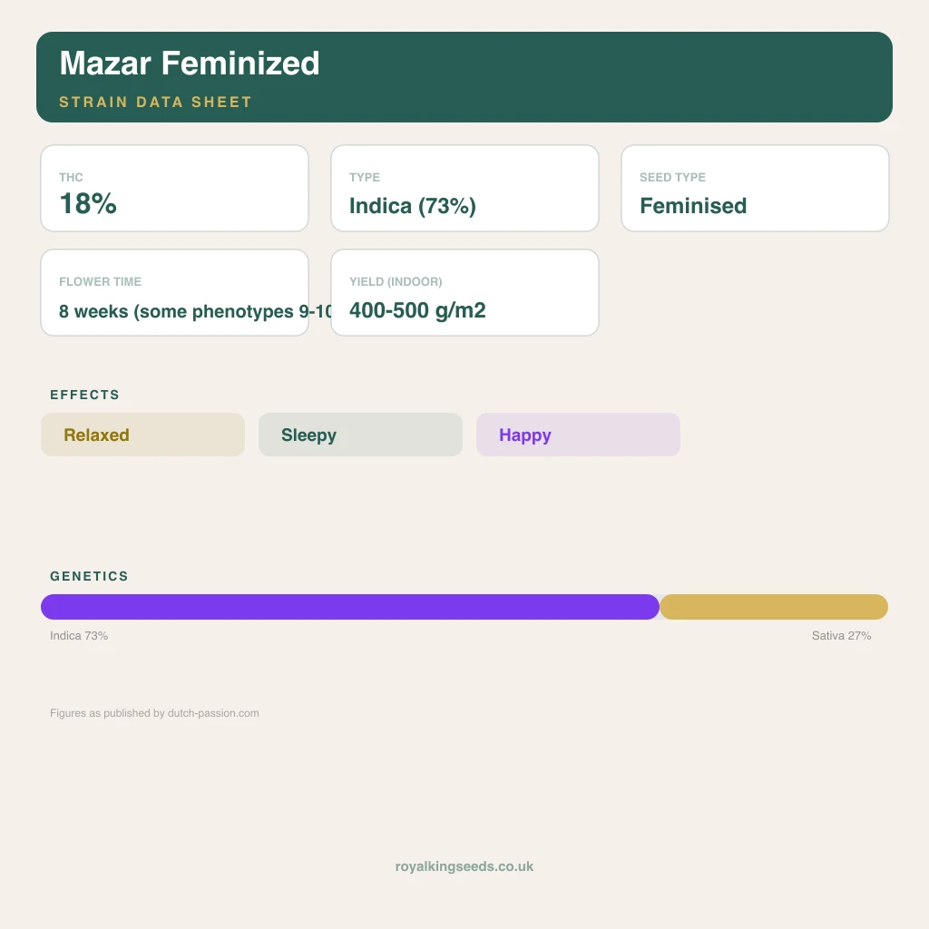 Mazar 73% indica / 27% sativa flower with visible trichomes