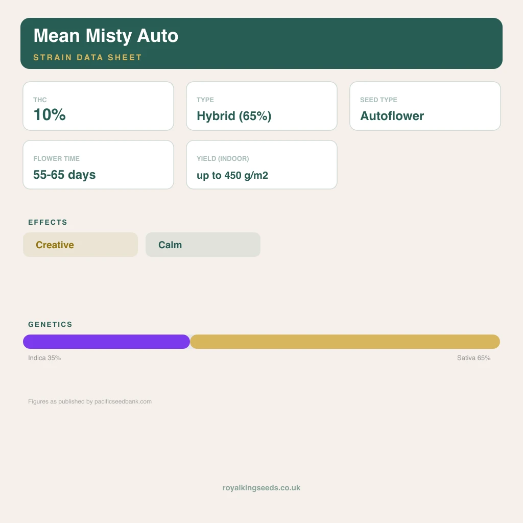 Mean Misty 35% indica / 65% sativa flower with visible trichomes