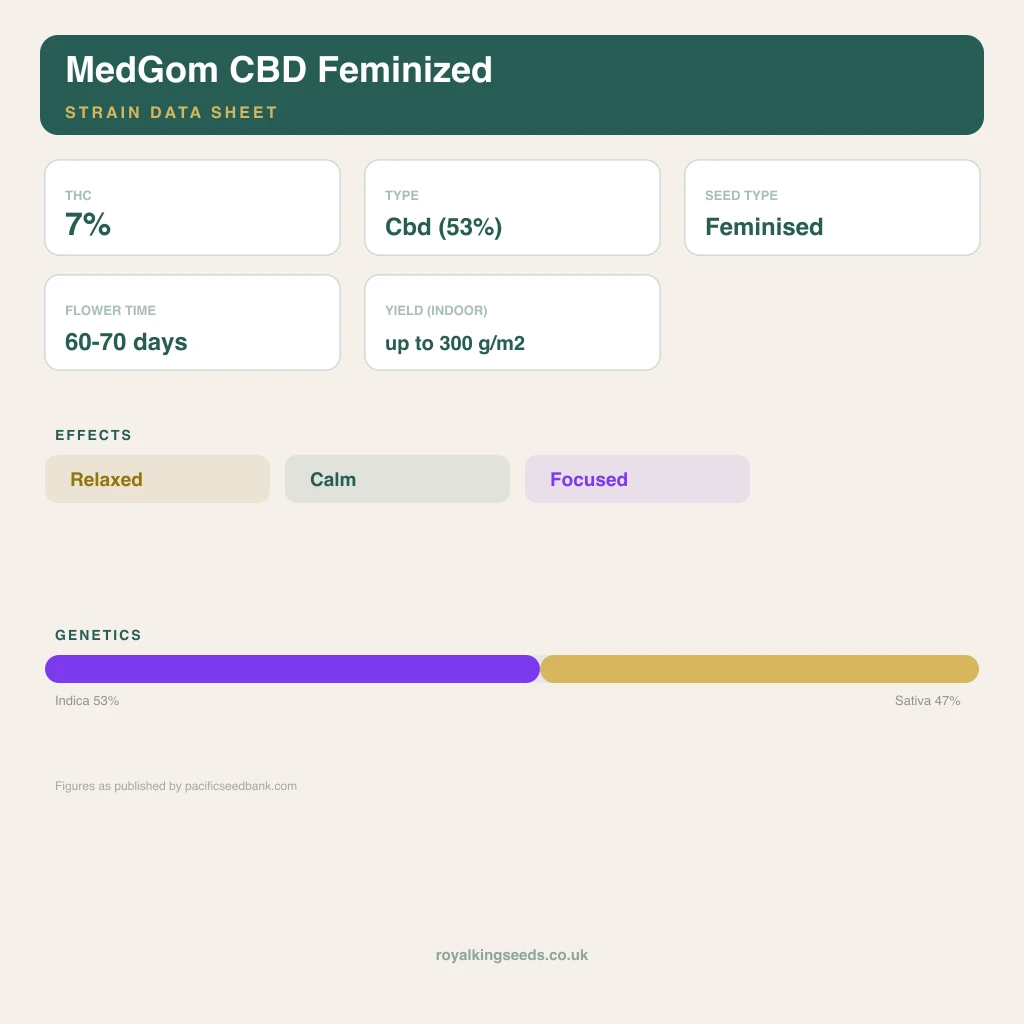 MedGom CBD 53% indica / 47% sativa flower with visible trichomes