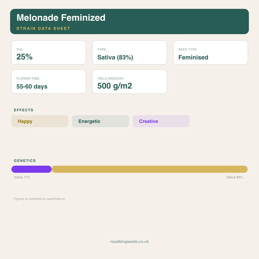 Melonade 17% indica / 83% sativa flower with visible trichomes