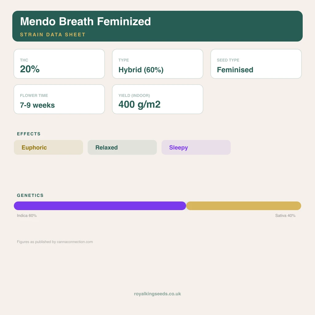 Mendo Breath 60% indica / 30% sativa flower with visible trichomes