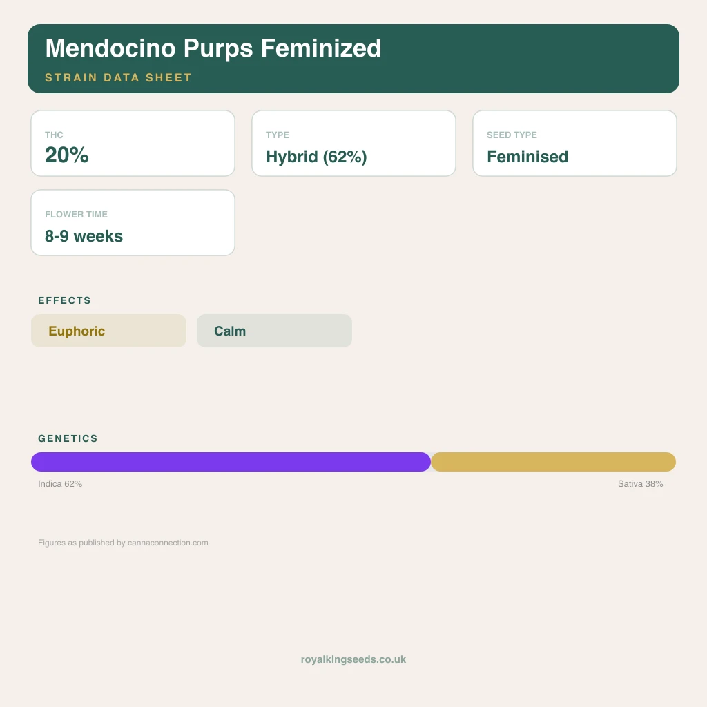Mendocino Purps 62% indica / 38% sativa flower with visible trichomes