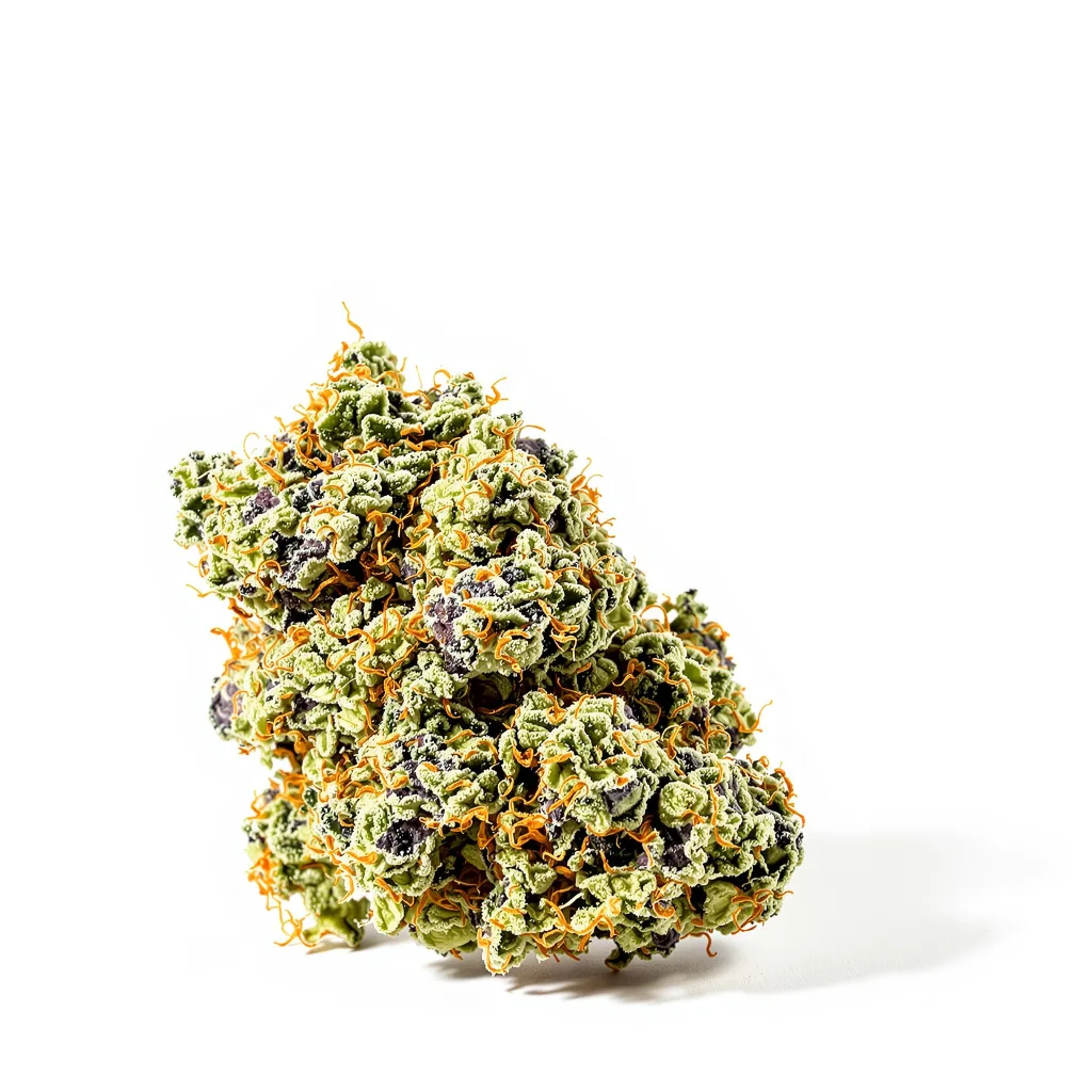 Mendocino Purps cannabis plant in flowering stage — 120-180 cm feminised