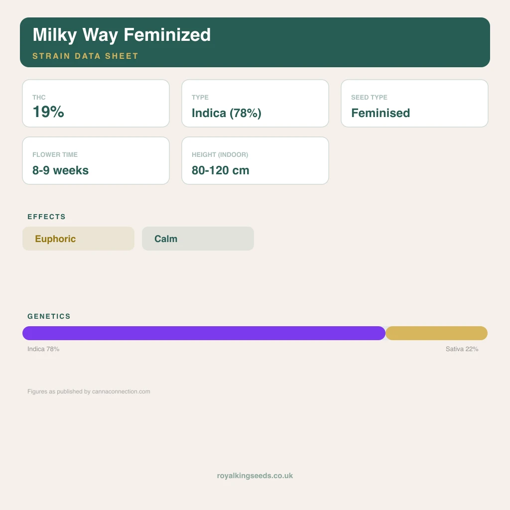 Milky Way 78% indica / 22% sativa flower with visible trichomes