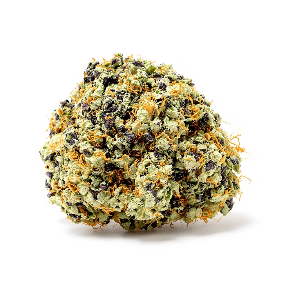 Mimosa cannabis plant in flowering stage — 90-130 cm feminised