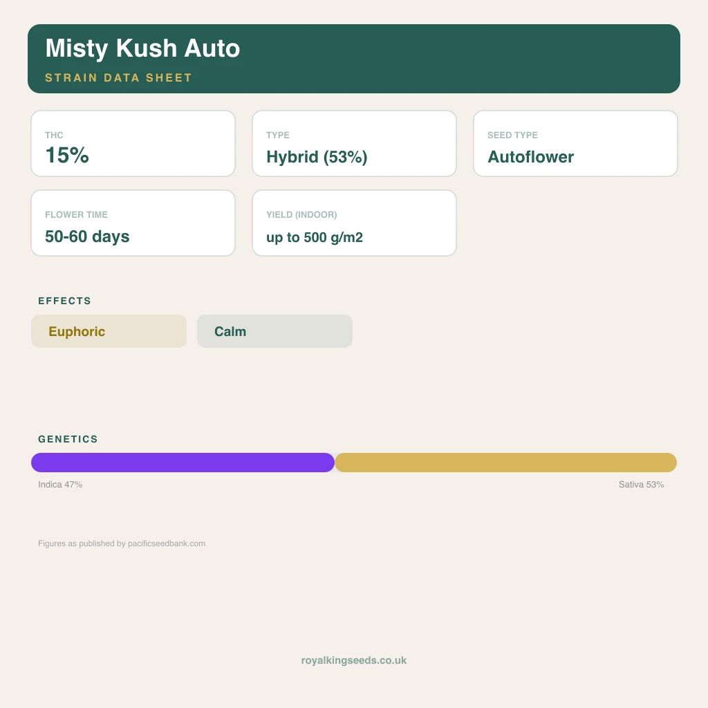 Misty Kush 47% indica / 53% sativa flower with visible trichomes