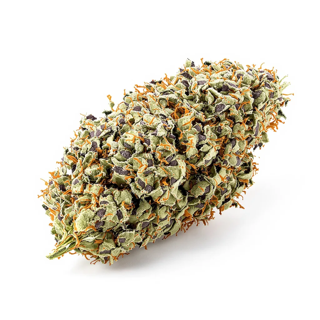 Misty Kush cannabis plant in flowering stage — 60-100 cm autoflower