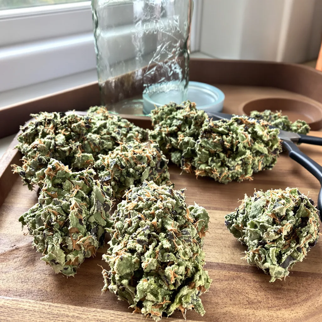 MK Ultra 50% indica / 50% sativa flower with visible trichomes