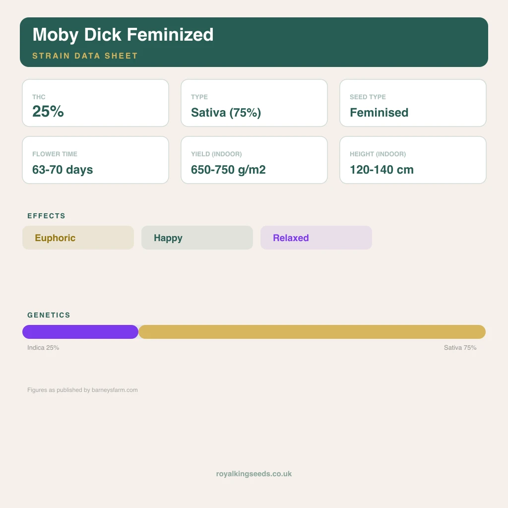 Moby Dick 25% indica / 75% sativa flower with visible trichomes