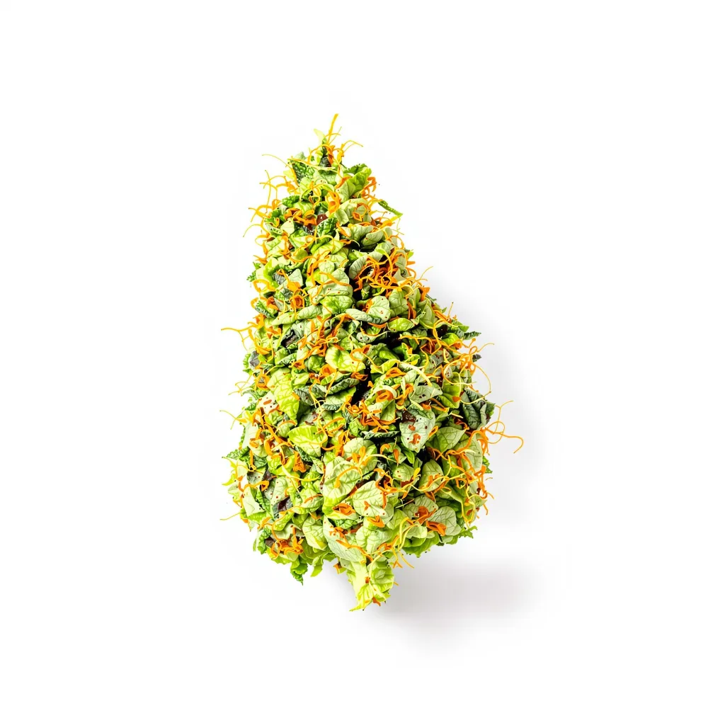 Moby Dick cannabis plant in flowering stage — 150-200 cm feminised