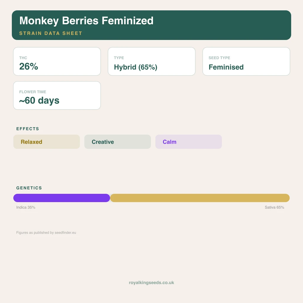 Monkey Berries 35% indica / 65% sativa flower with visible trichomes