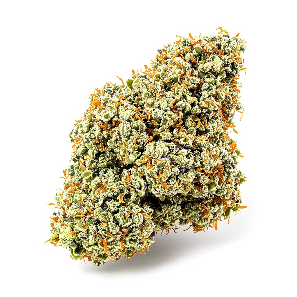 Monkey Berries cannabis plant in flowering stage — 120-180 cm feminised