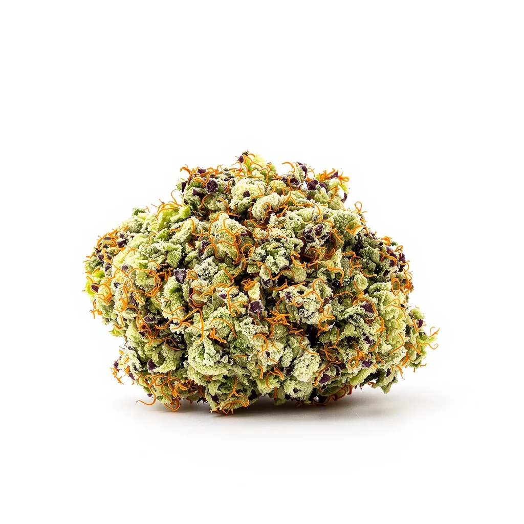 Nebula cannabis plant in flowering stage — 60-100 cm autoflower