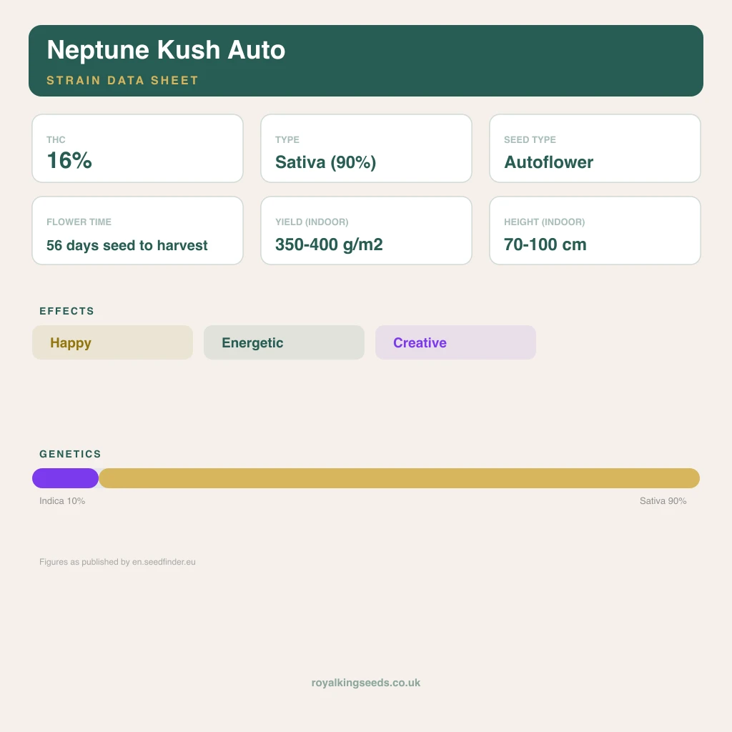 Neptune Kush 10% indica / 90% sativa flower with visible trichomes
