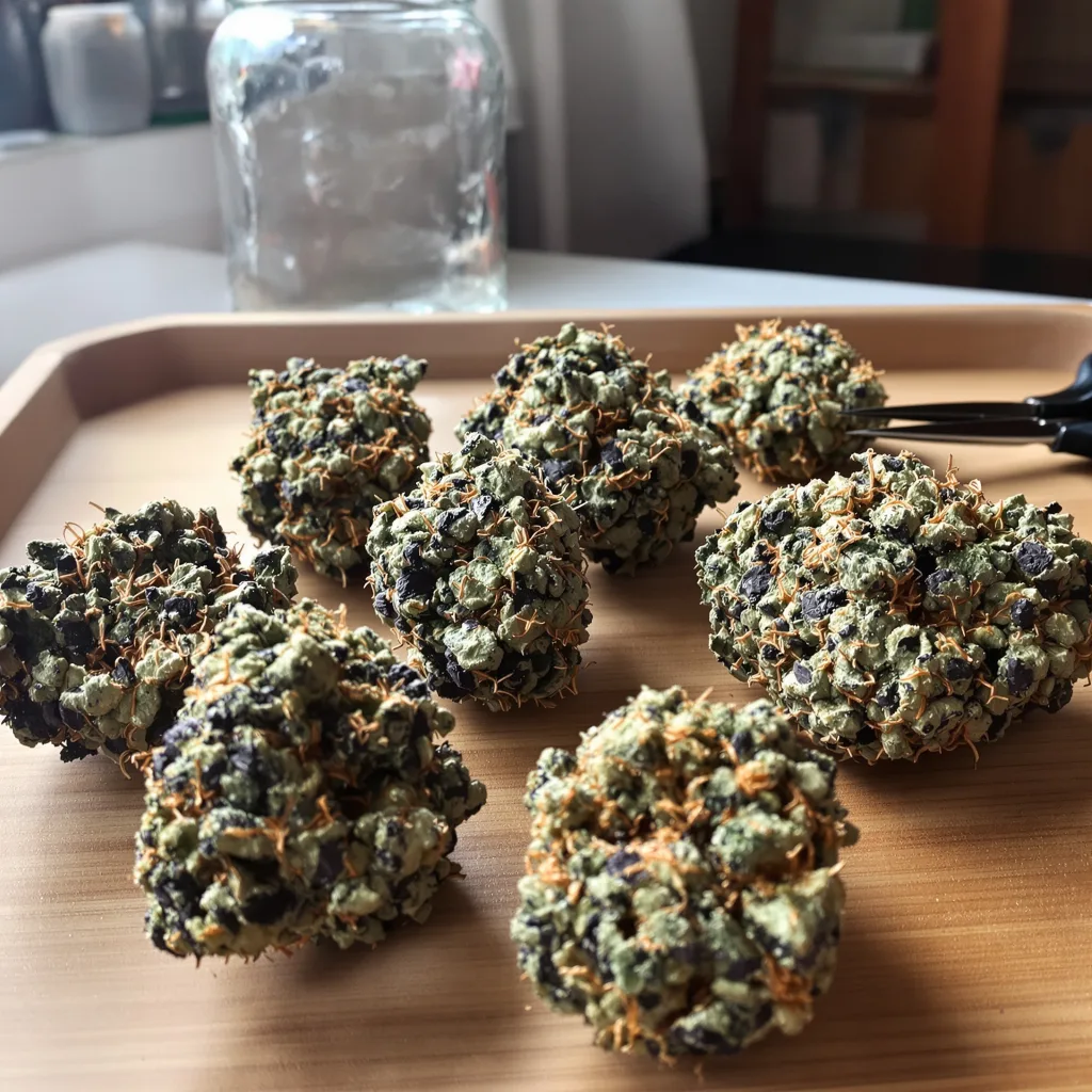 New Glue 80% indica / 20% sativa flower with visible trichomes