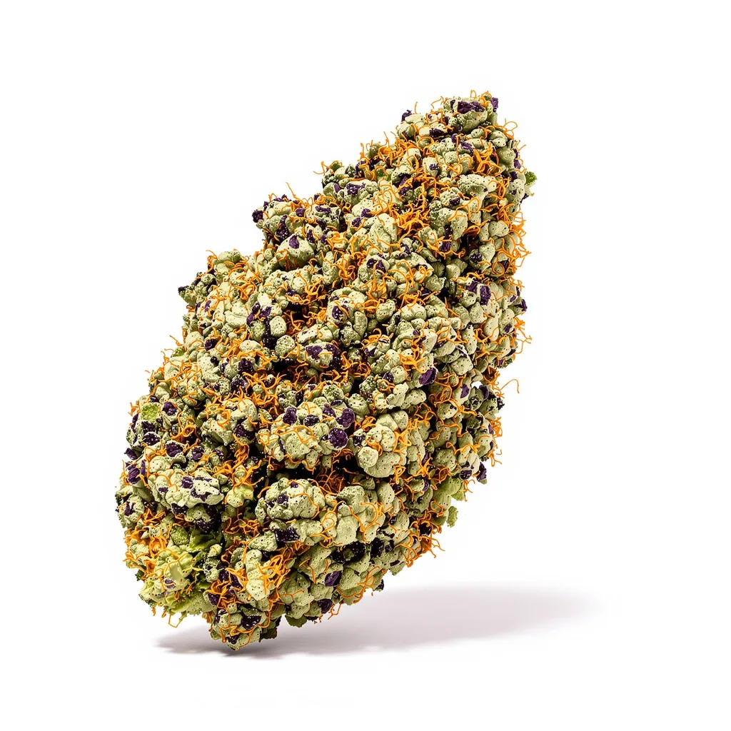 Nightcap cannabis plant in flowering stage — 90-130 cm feminised
