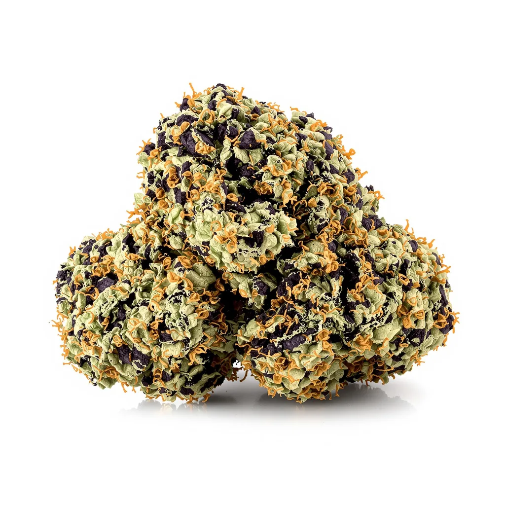 North American cannabis plant in flowering stage — 90-130 cm feminised