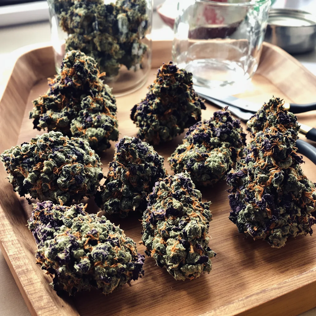 Northern Lights 81% indica / 19% sativa flower with visible trichomes