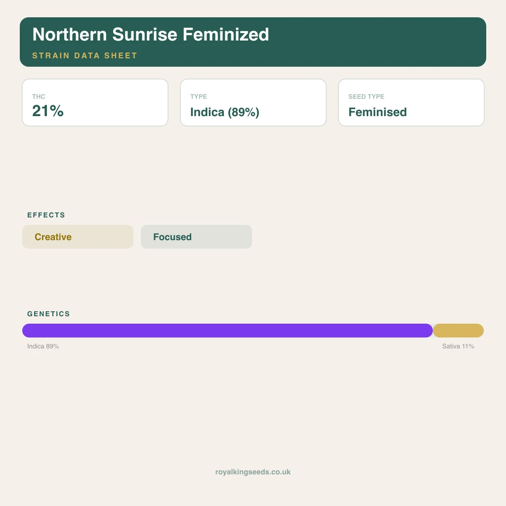 Northern Sunrise 89% indica / 11% sativa flower with visible trichomes