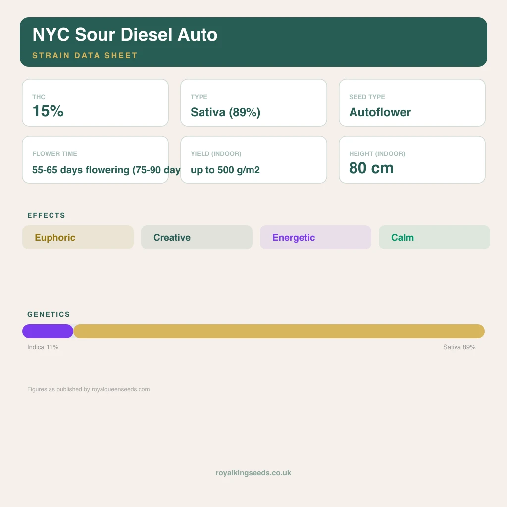 NYC Sour Diesel 11% indica / 89% sativa flower with visible trichomes