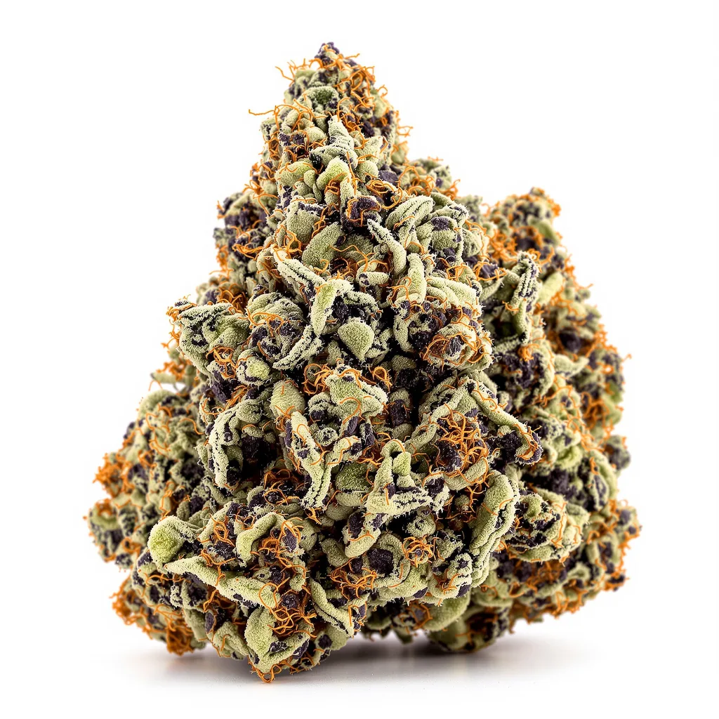 OG LA Affie cannabis plant in flowering stage — 90-130 cm feminised