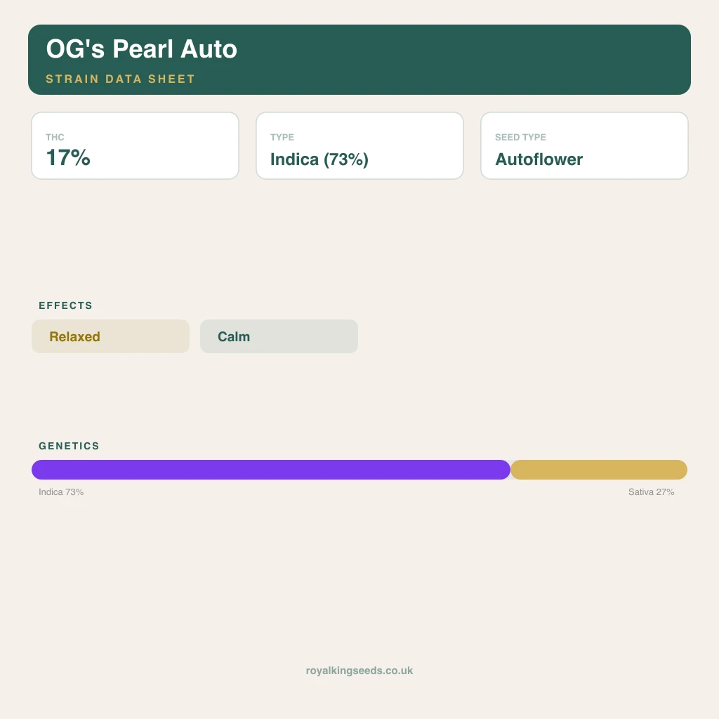 OG's Pearl 73% indica / 27% sativa flower with visible trichomes