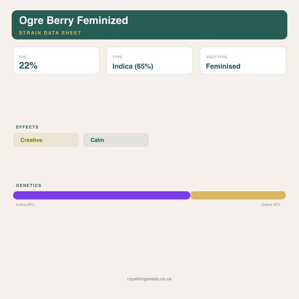 Ogre Berry 65% indica / 35% sativa flower with visible trichomes