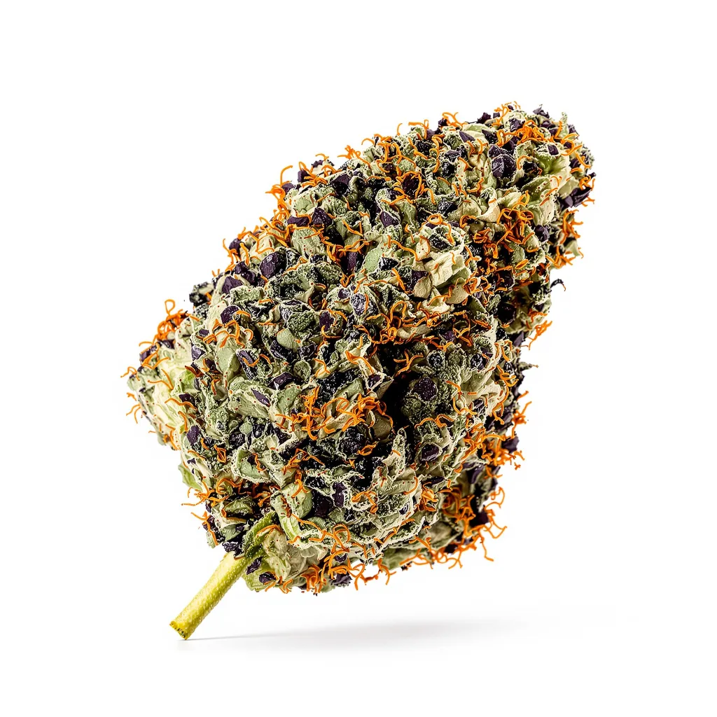 Ogre Berry cannabis plant in flowering stage — 90-130 cm feminised