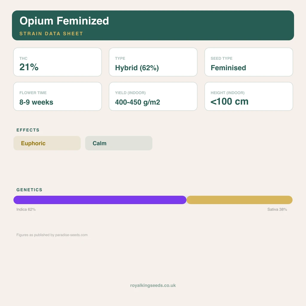 Opium 62% indica / 38% sativa flower with visible trichomes