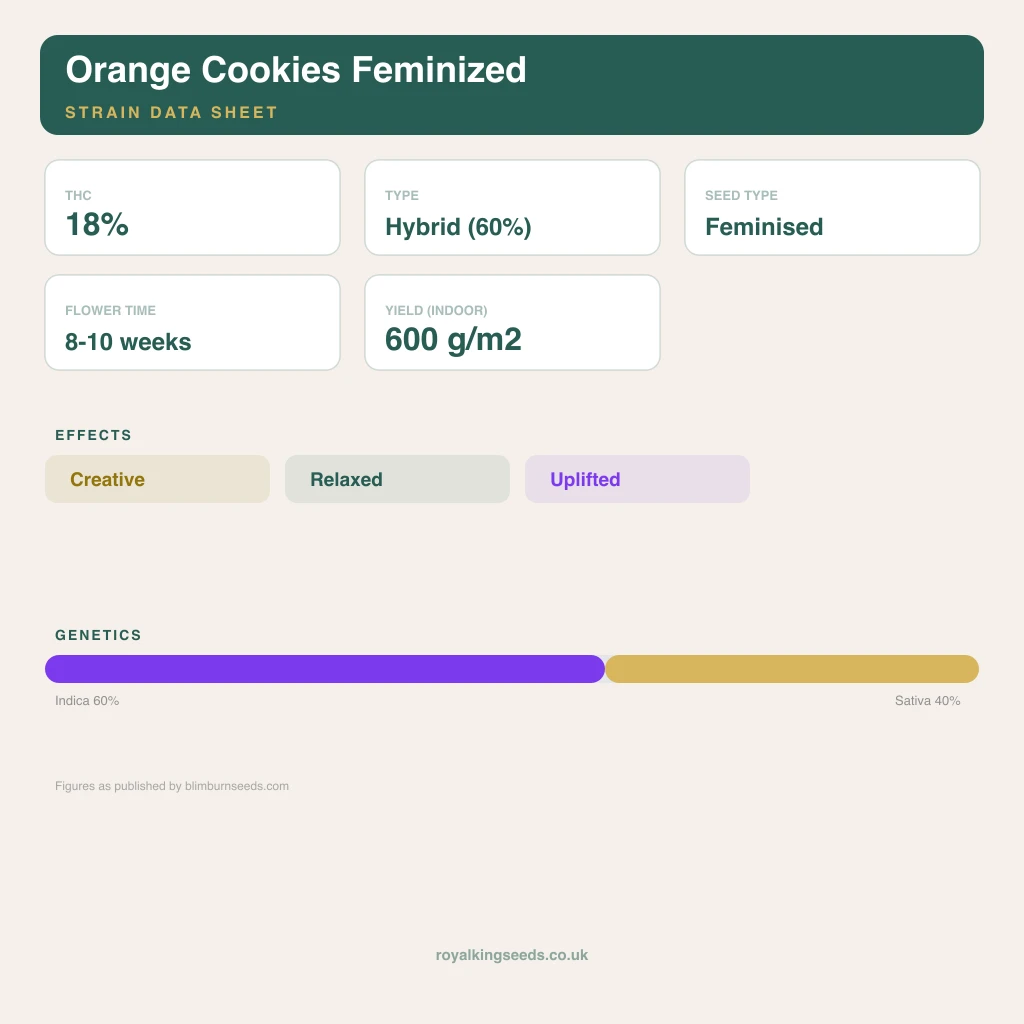 Orange Cookies 60% indica / 40% sativa flower with visible trichomes